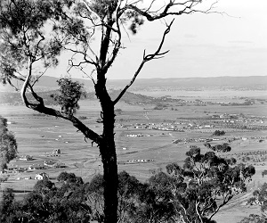 Canberra from Red Hill